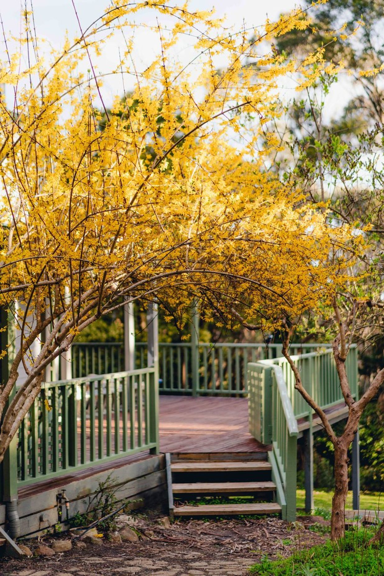 Mt Macedon