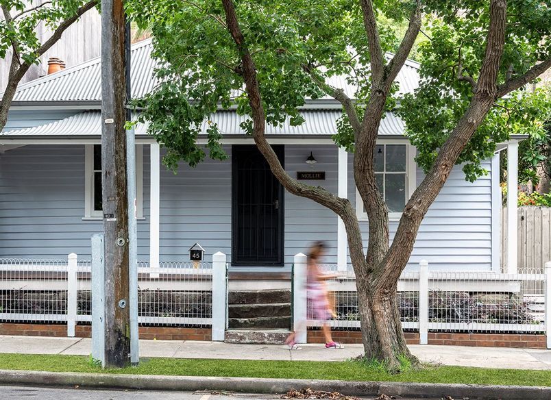 Mollie, North Sydney