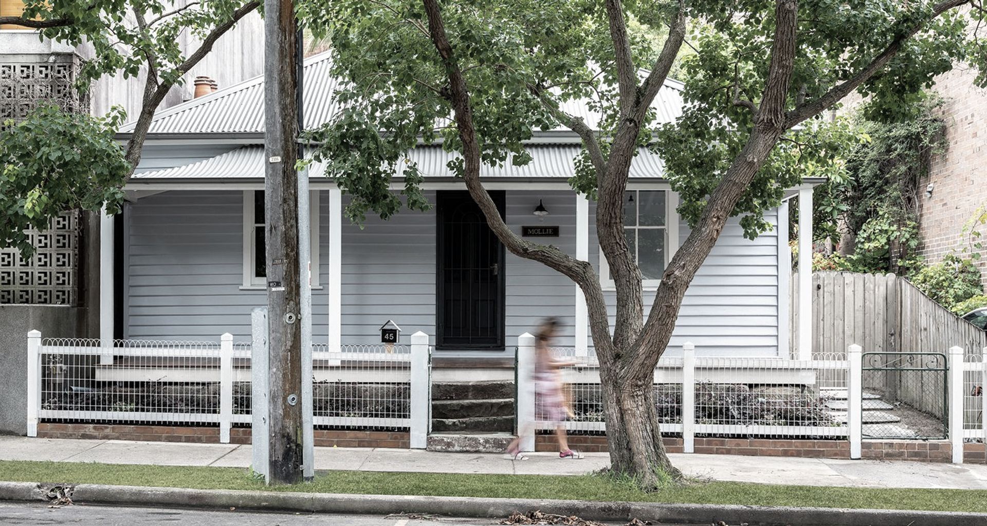 Mollie, North Sydney banner