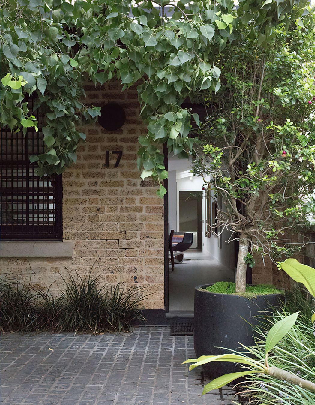 Gipps Street Terrace 2