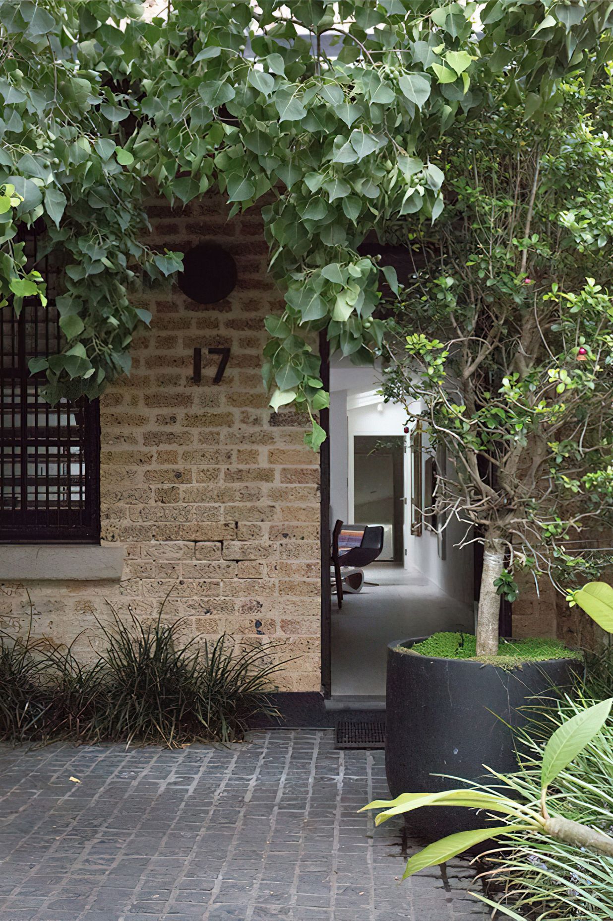 Gipps Street Terrace 2