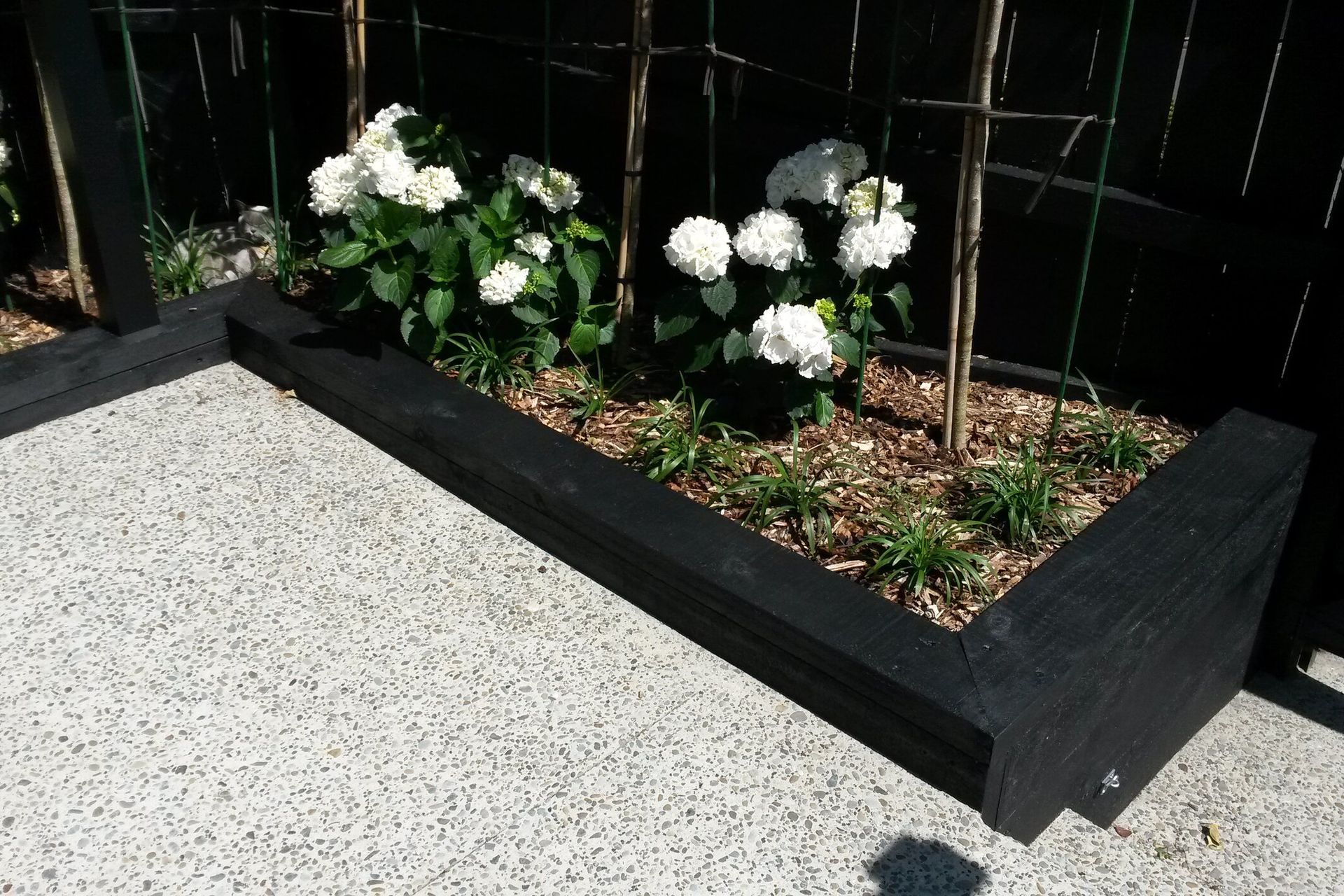 A built in garden bed for low maintenance planting and the newly poured exposed pebble concrete path