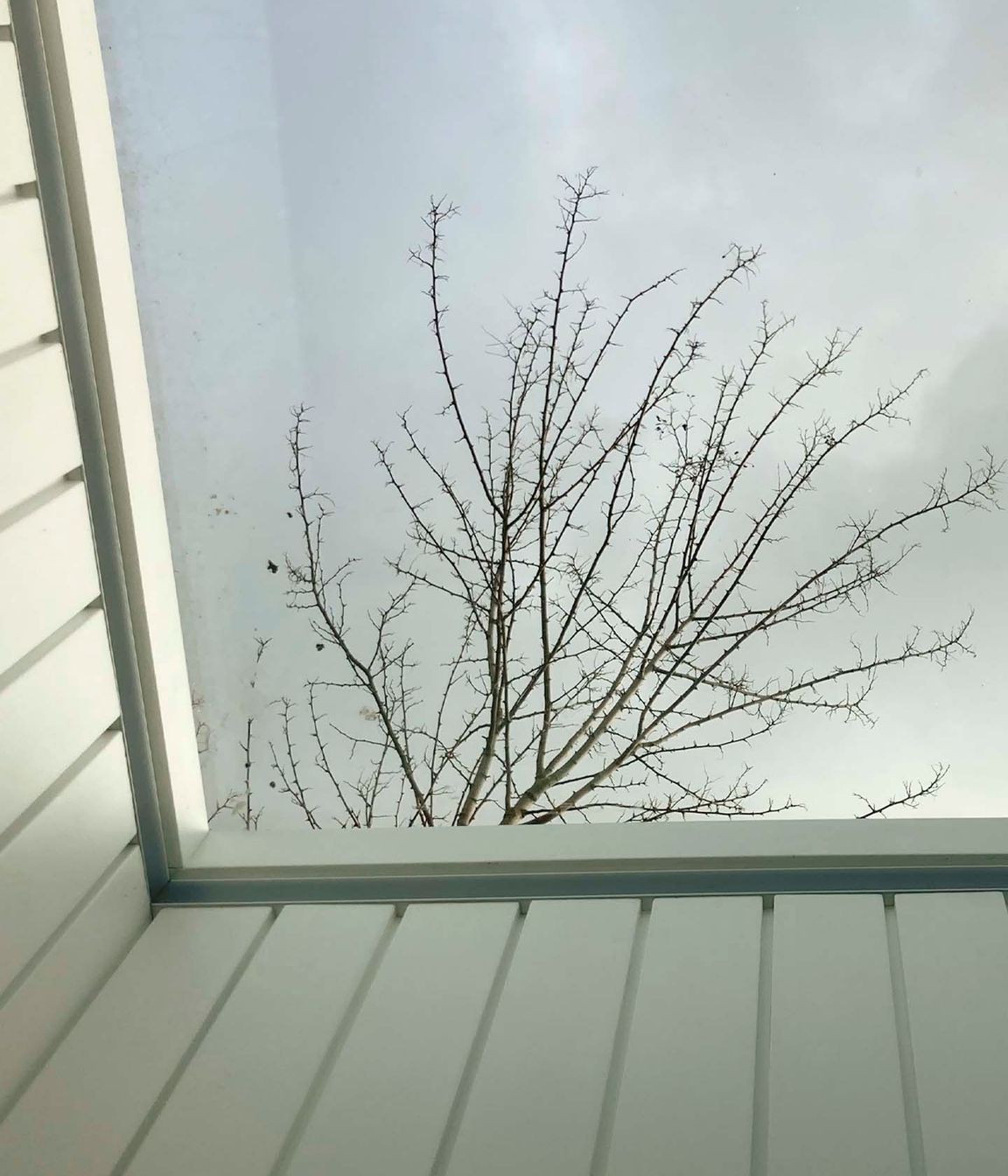 skylight.jpg