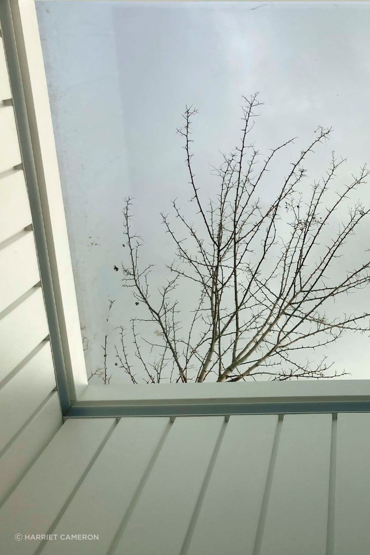 skylight.jpg