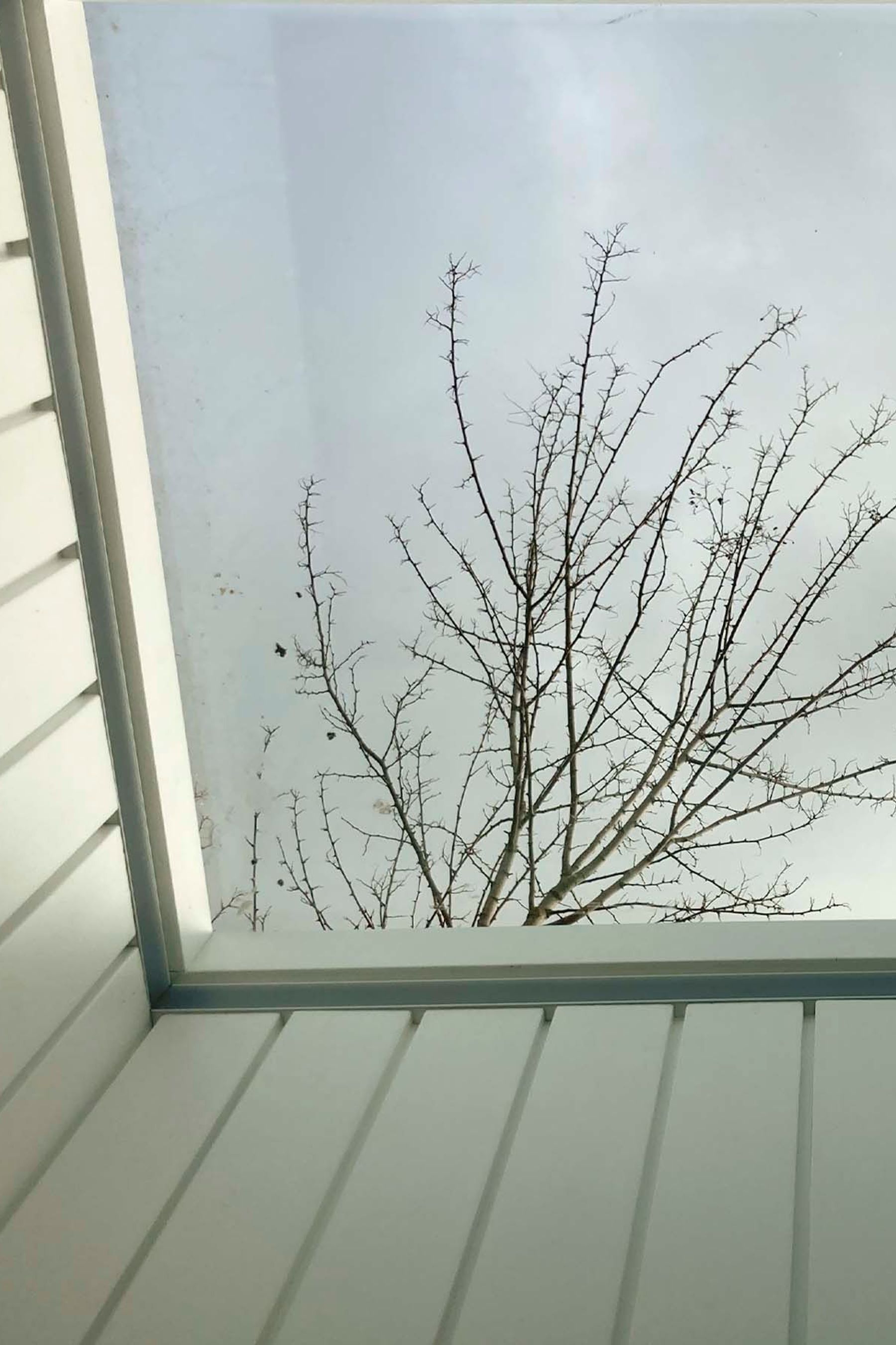 skylight.jpg
