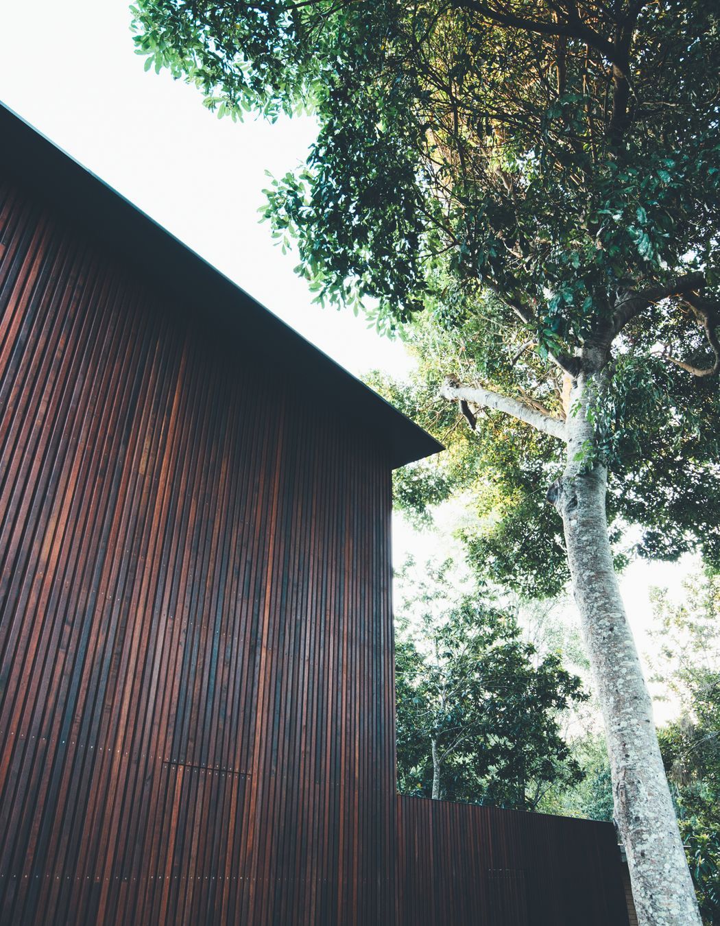 Sunday House Little Cove