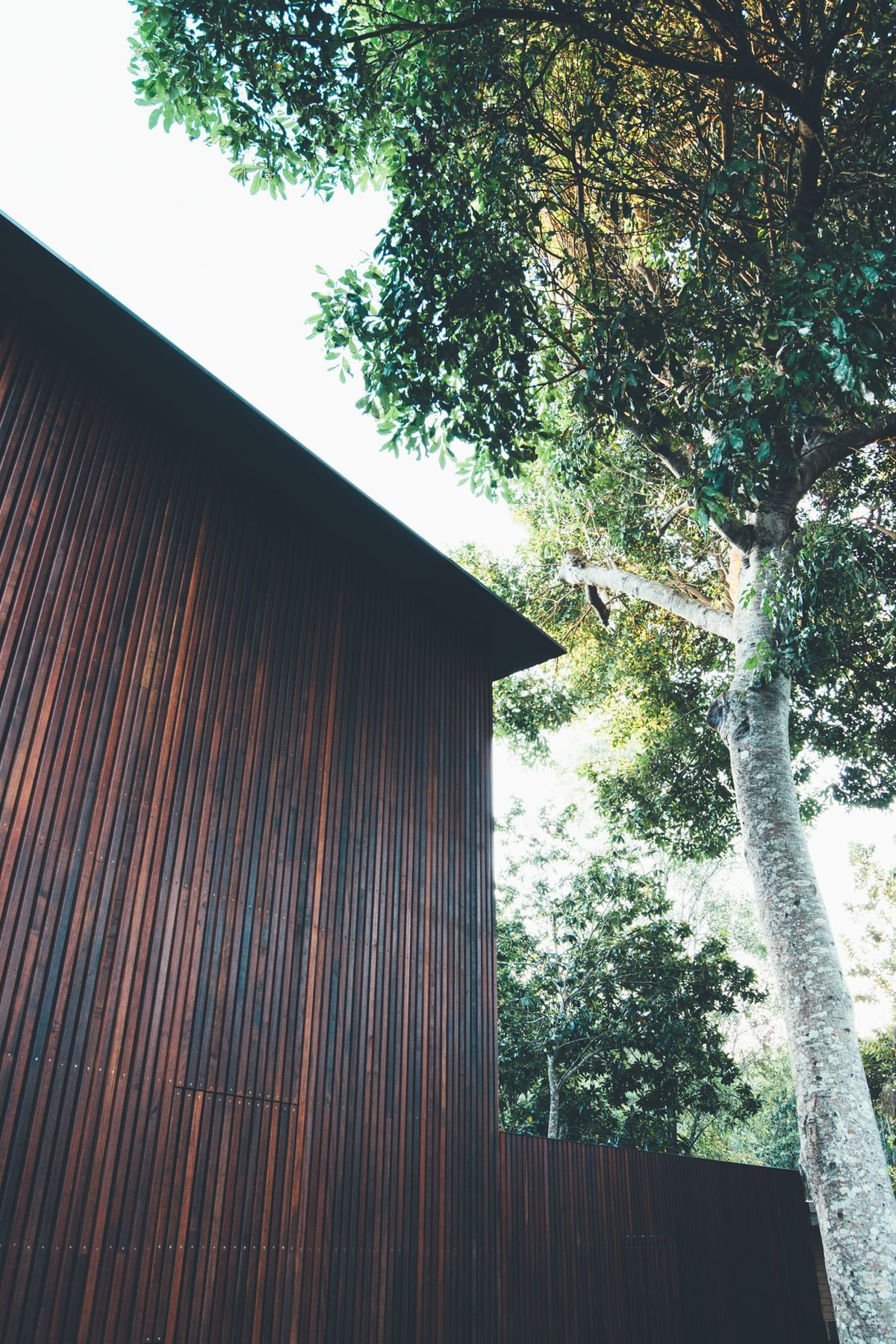 Sunday House Little Cove
