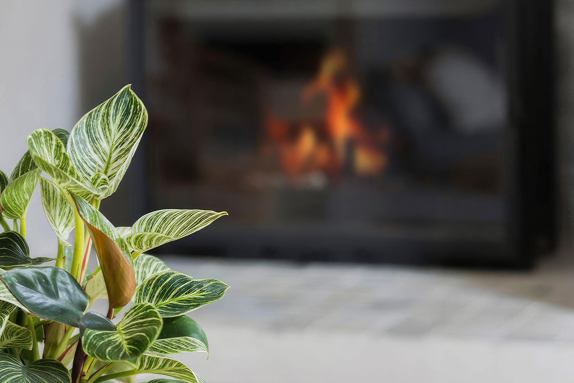 upFireplace-1-square-900x700-fix-standard-scale-400x.jpg