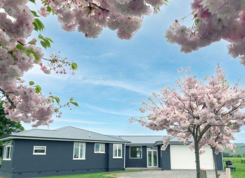 Little Cottage All Grown Up