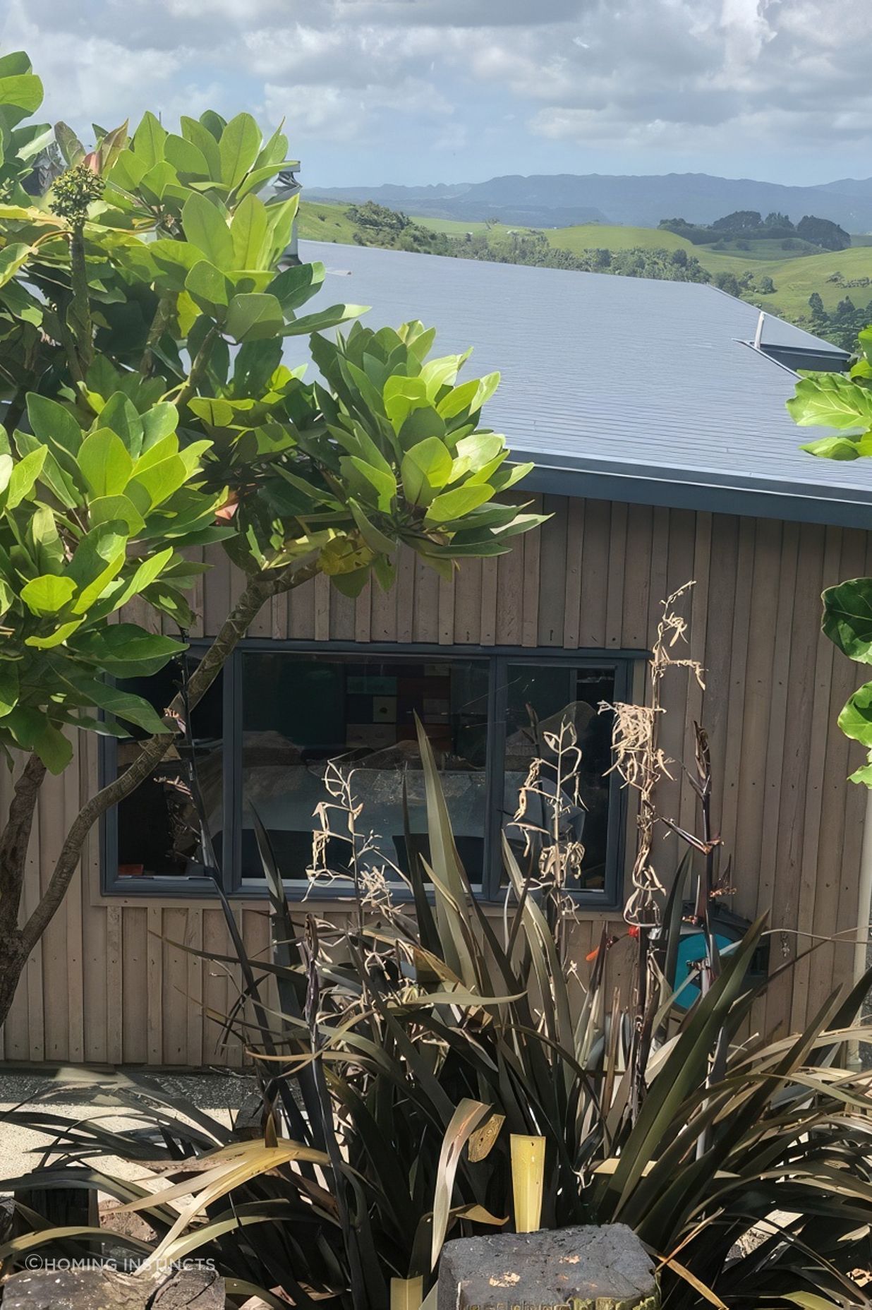 uphunua1-1030x618-fix-standard-scale-200x.jpg