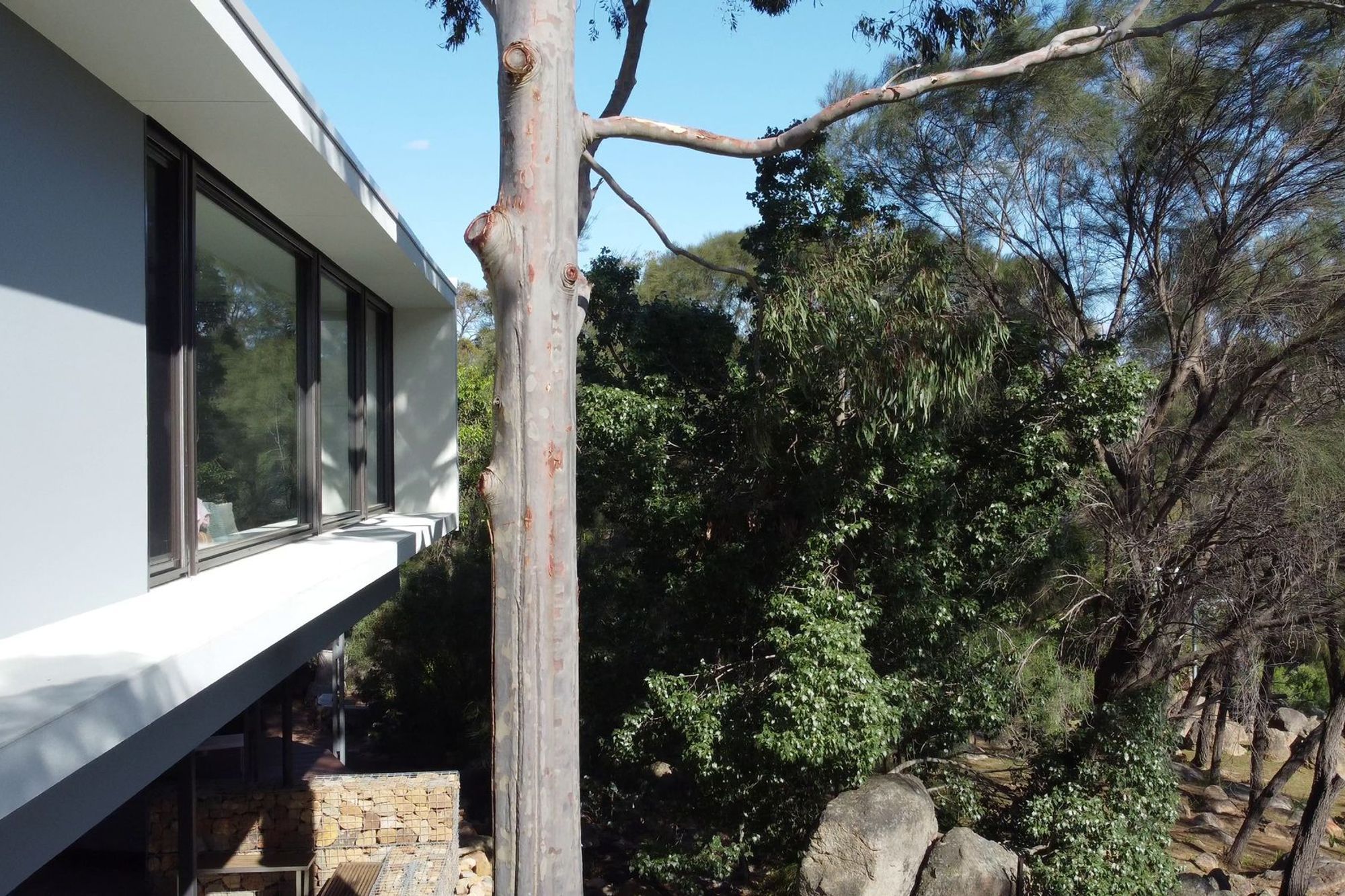 Boya Treehouse