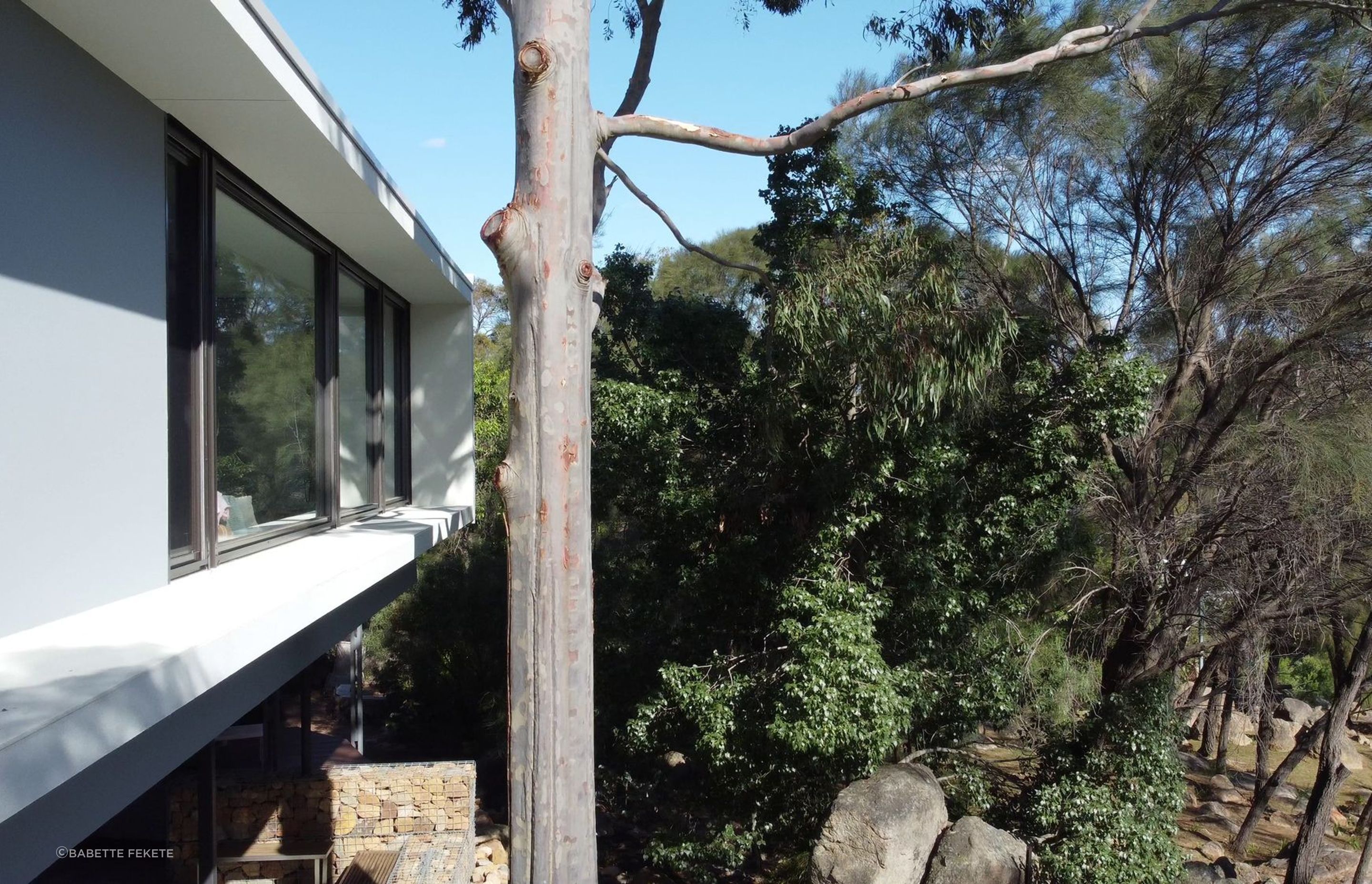Boya Treehouse