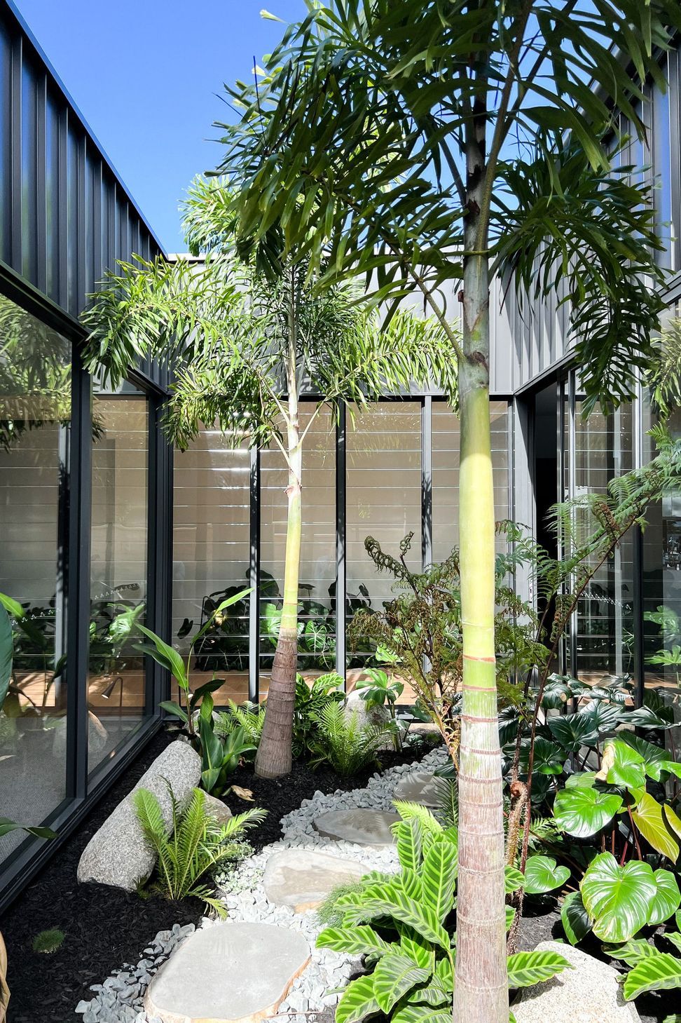 Bells Esplanade - Courtyard. Courtyard garden behind perforated screens.