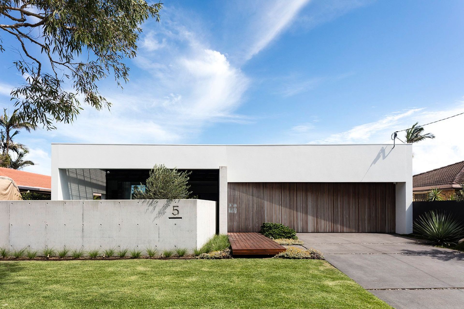Morrison Residence - Exterior. Low concrete frontage and lawn with a mature tree.