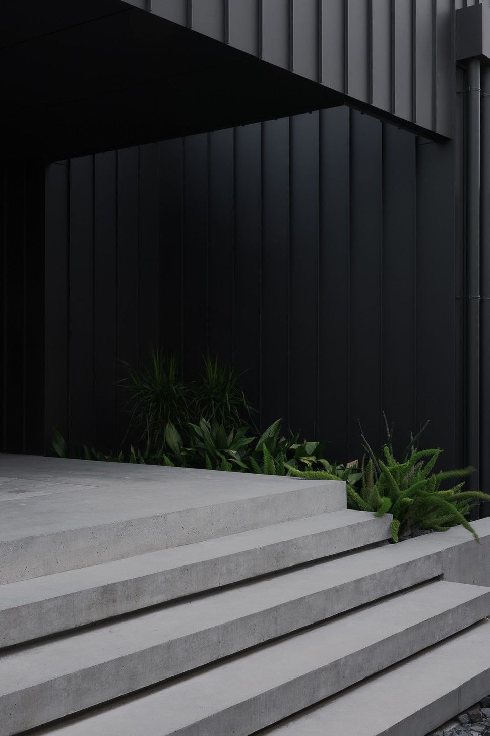 0042 Residence - Entry. Wide concrete steps rising to the entry beside dark cladding and planting.