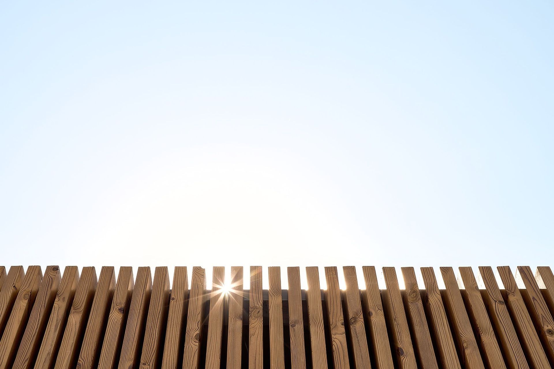 6216a1140604b2513d3f972ahive2025-upscaled-by-Replicate.jpg