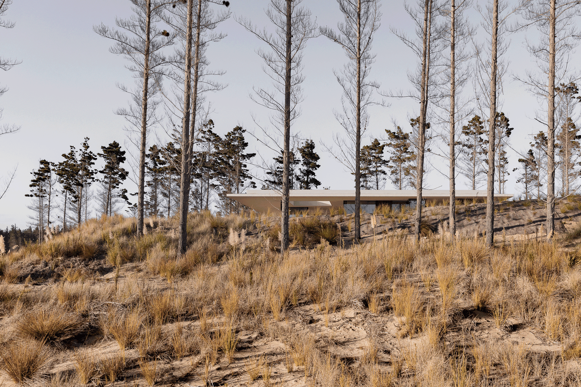 mmapalimpsestdawid-wisniewskicontext.gif