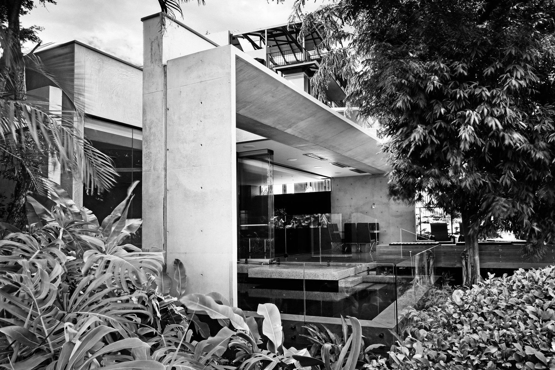 McGovern Residence - Exterior. Off-form concrete and glass framing the courtyard garden.