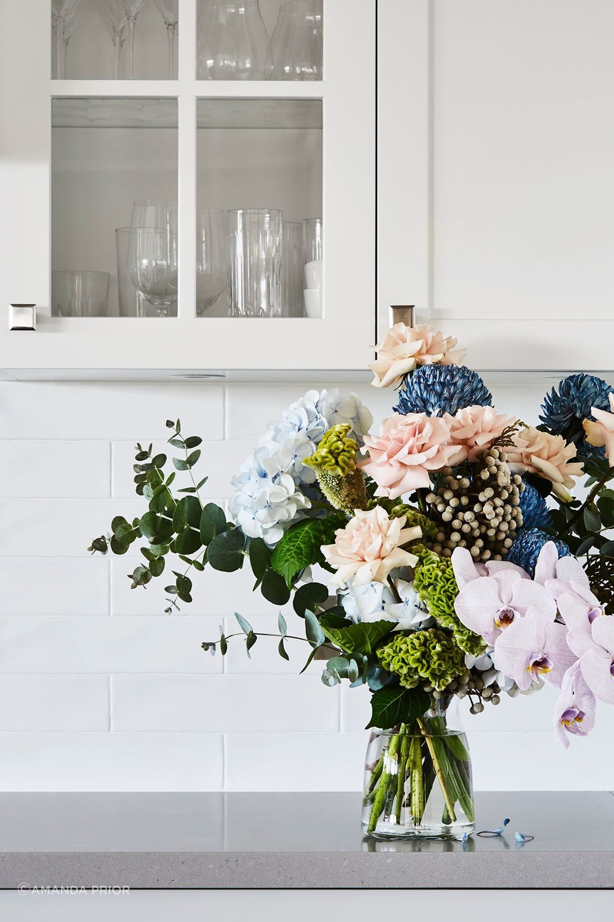 Balgowlah project