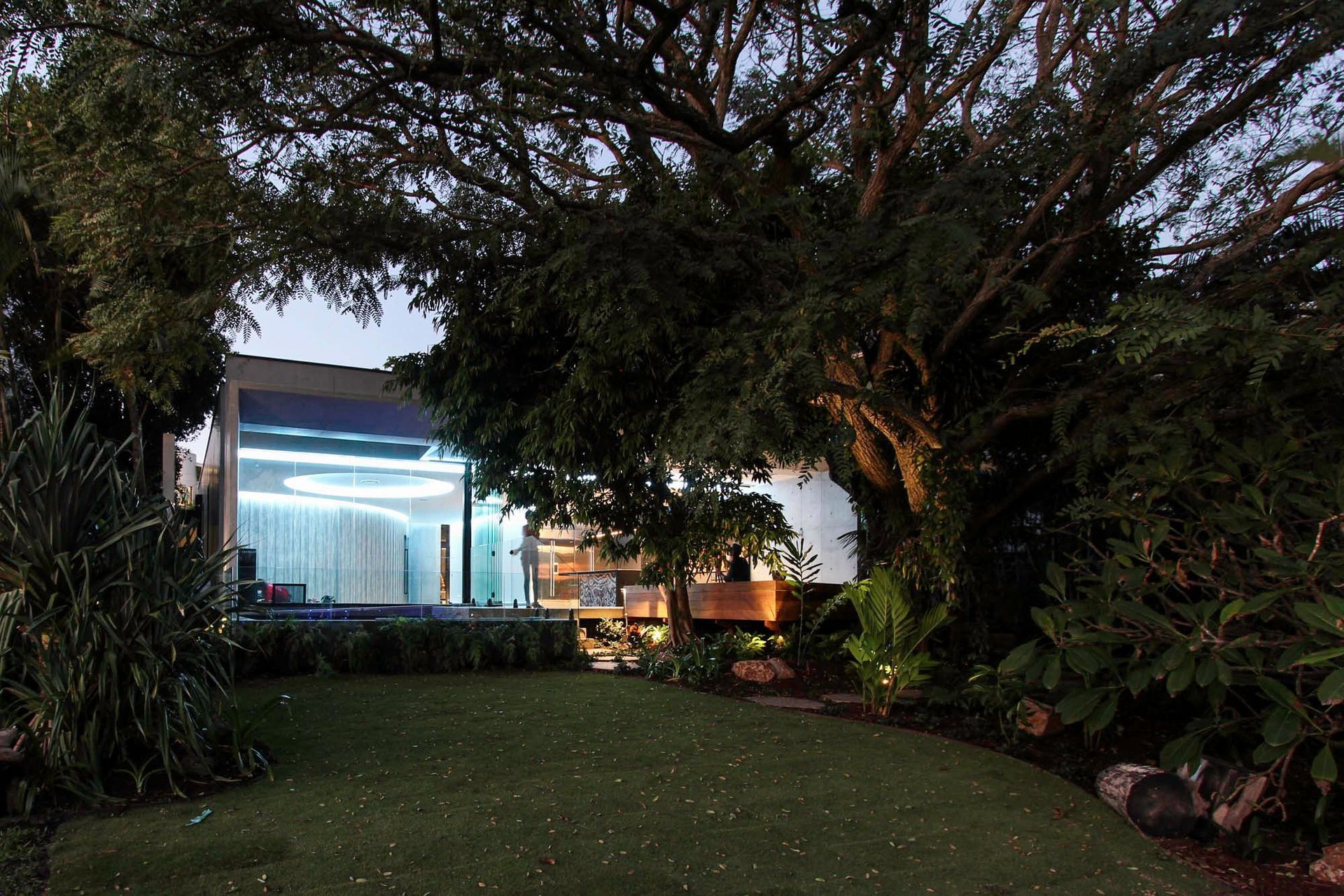 McGovern Residence - Garden. Lawn and mature trees in front of the glazed pavilion at dusk.