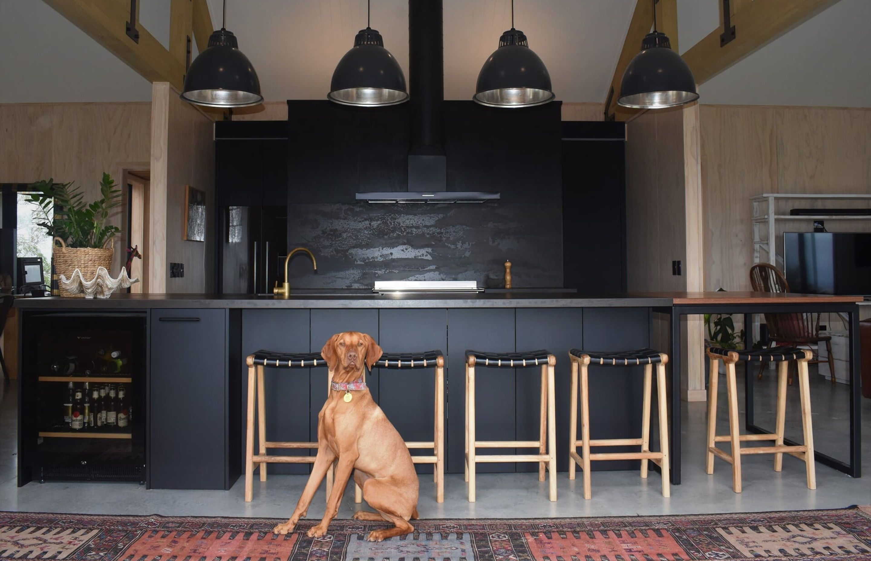 Bruno's Kitchen