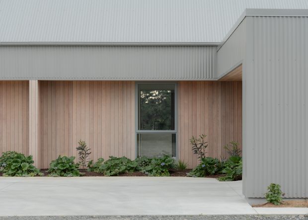 Contemporary single-storey building facade with a pale grey corrugated metal roof and wall cladding, warm vertical timber wall lining, and a narrow central window. A recessed covered entry or passage is formed by the projecting side volume. Low landscaped planting borders a broad pale concrete path in the foreground.