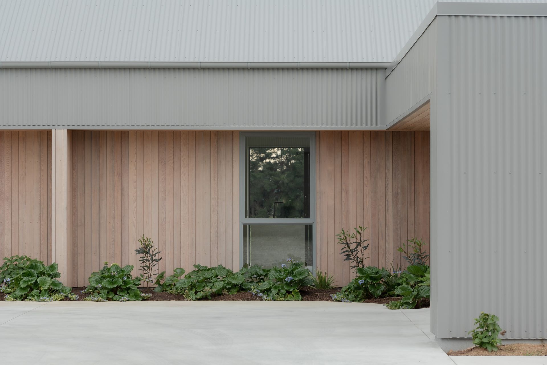 3-yokearchitects-mooreroad-biddirowley-3005.jpg
