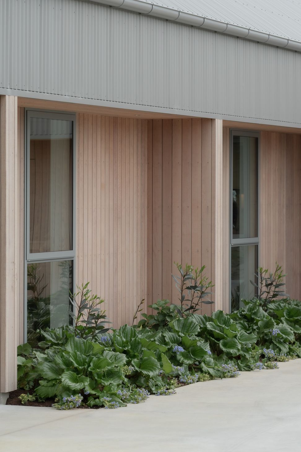 4-yokearchitects-mooreroad-biddirowley-2971.jpg