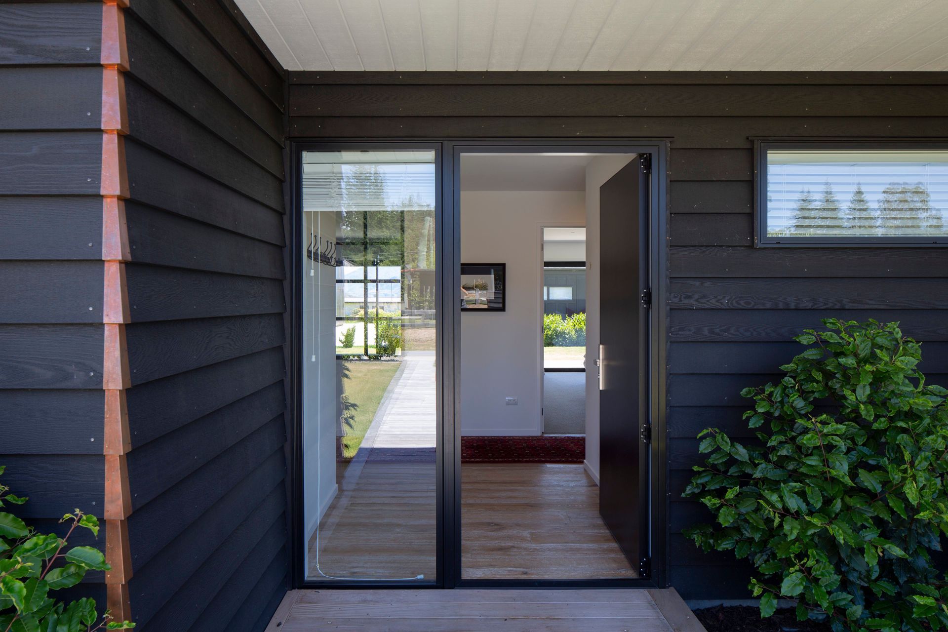 Primary Lane | Wanaka