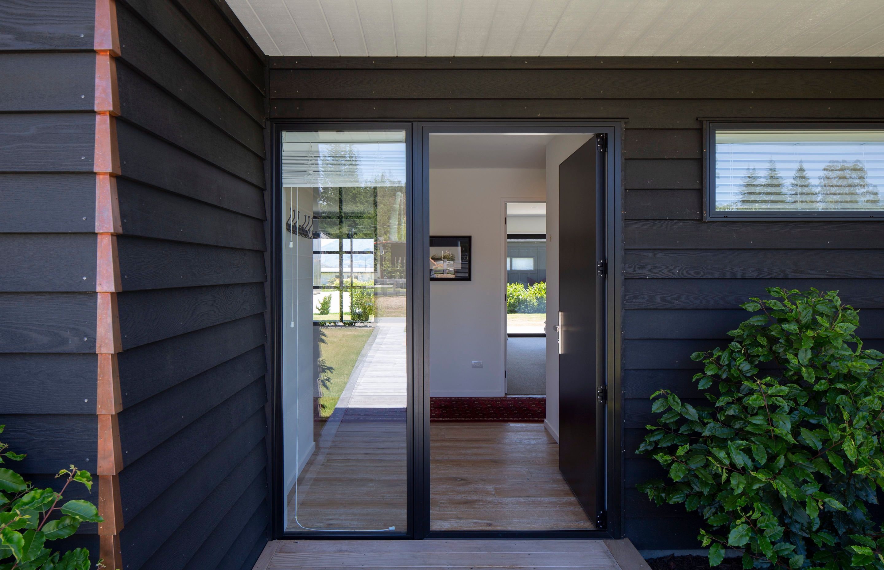 Primary Lane | Wanaka