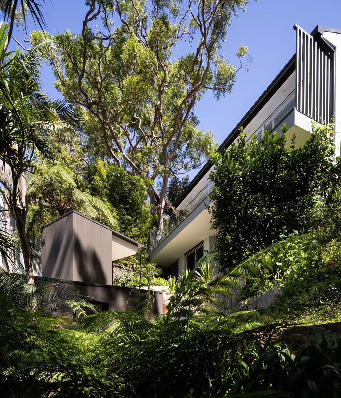 Mosman