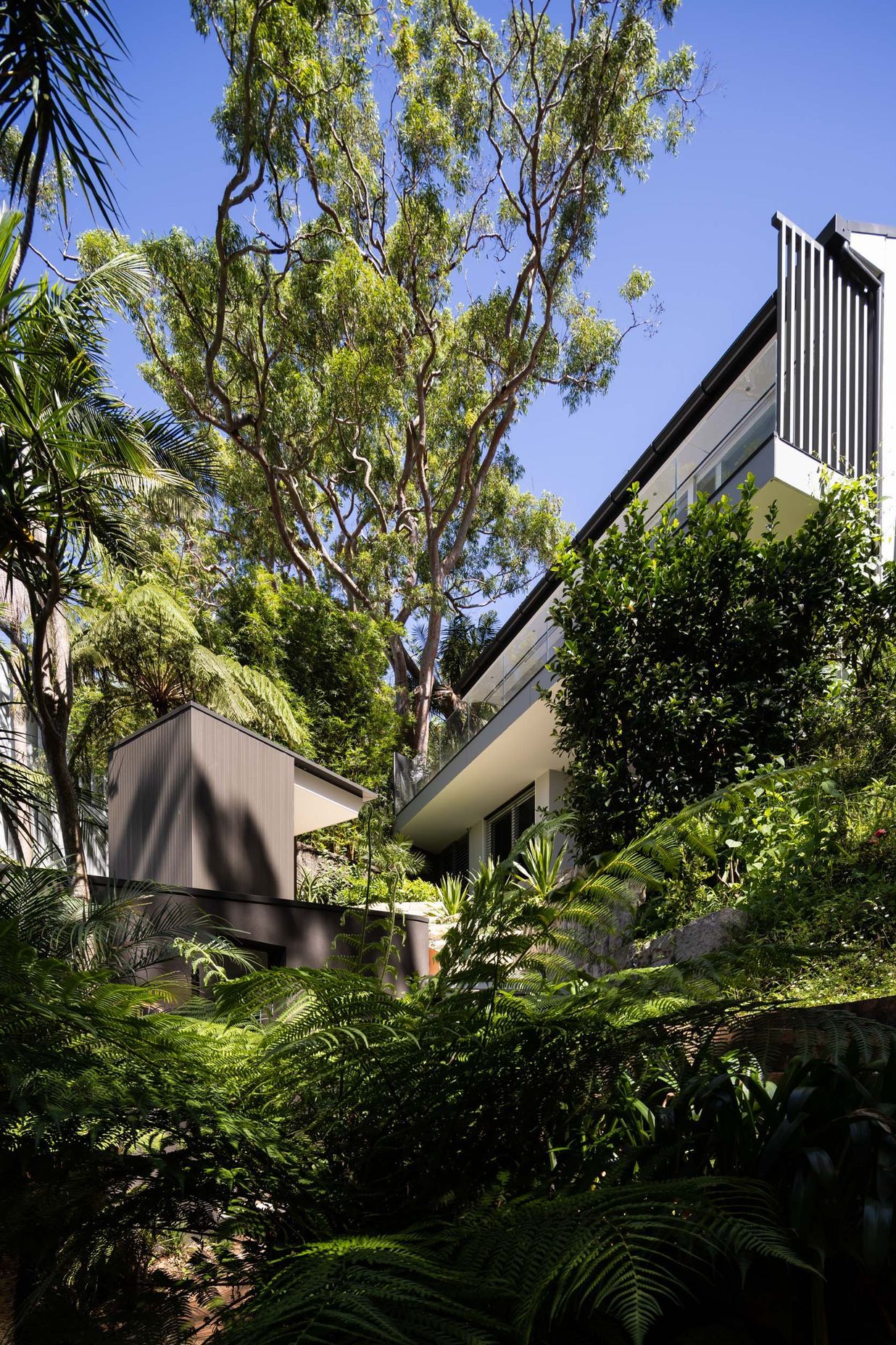 Mosman