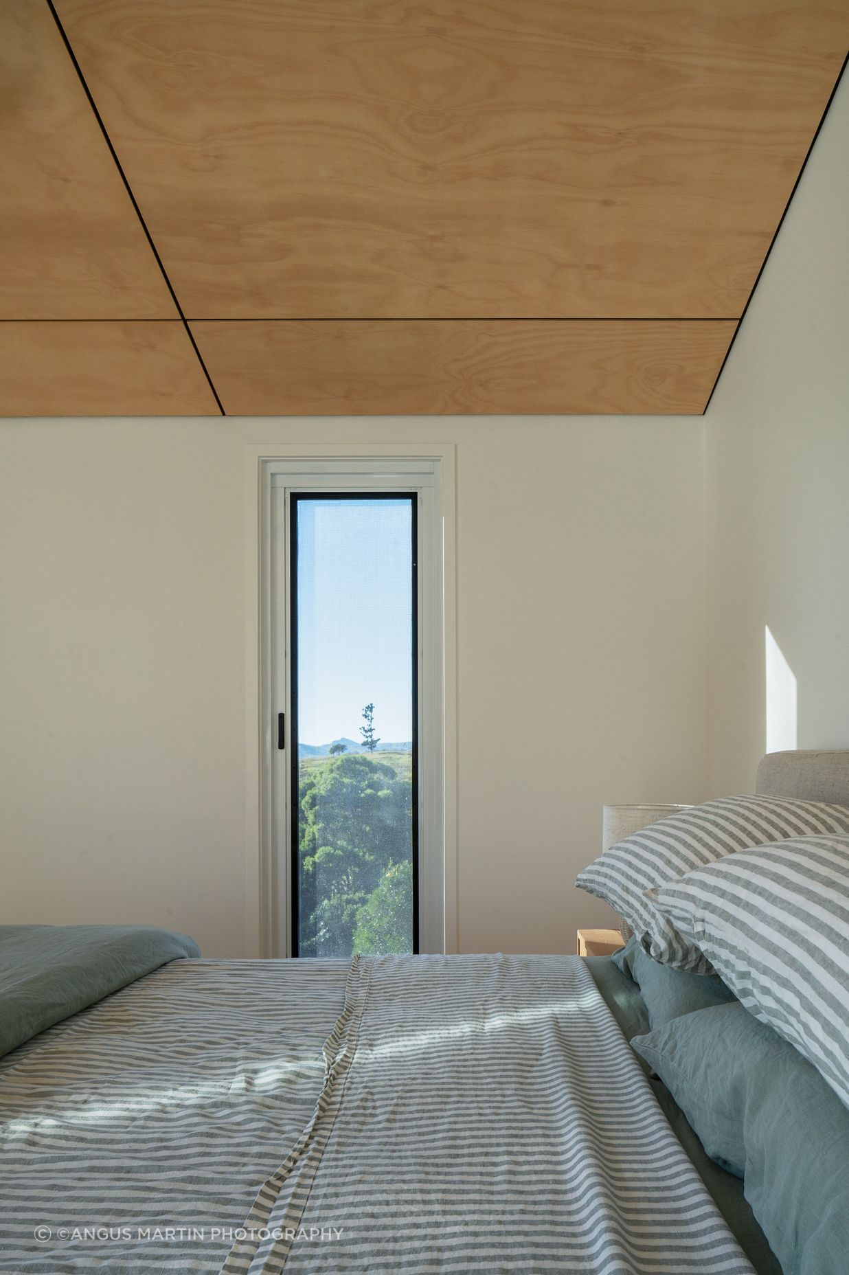 Specific views are carefully framed without compromising on building performance.