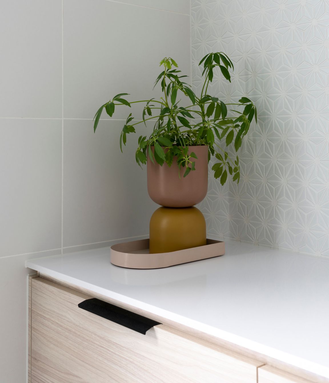 The Wellness Home