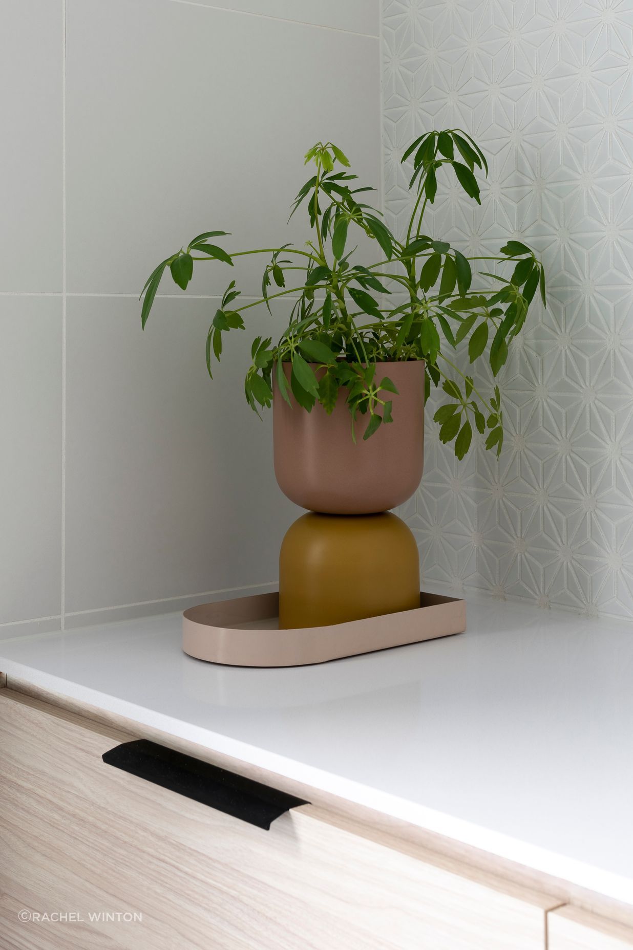 The Wellness Home