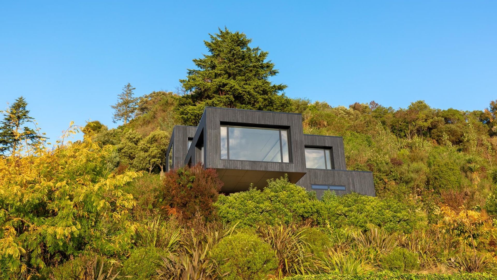 Bellevue House, Nelson banner