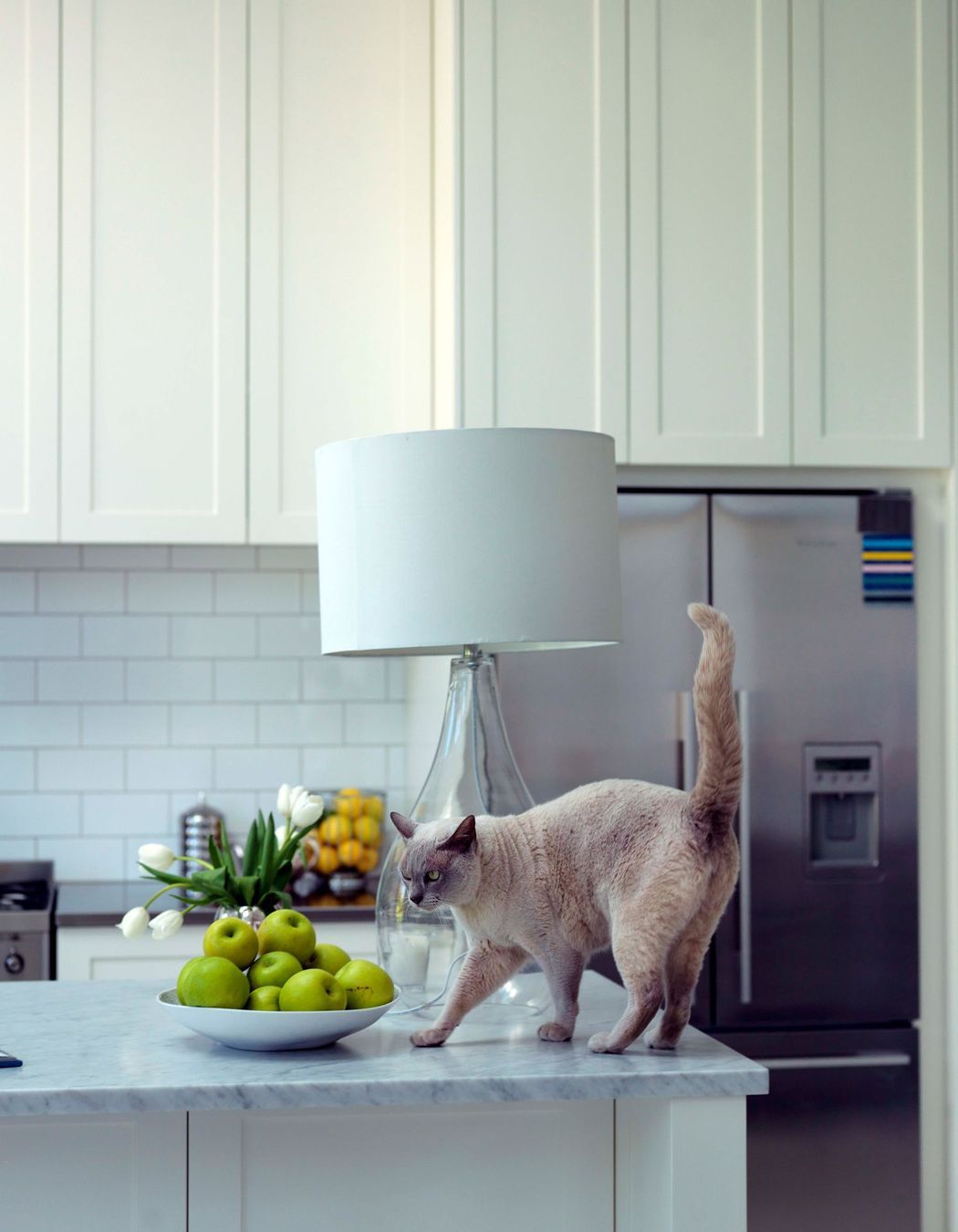 Kitchen Renovation