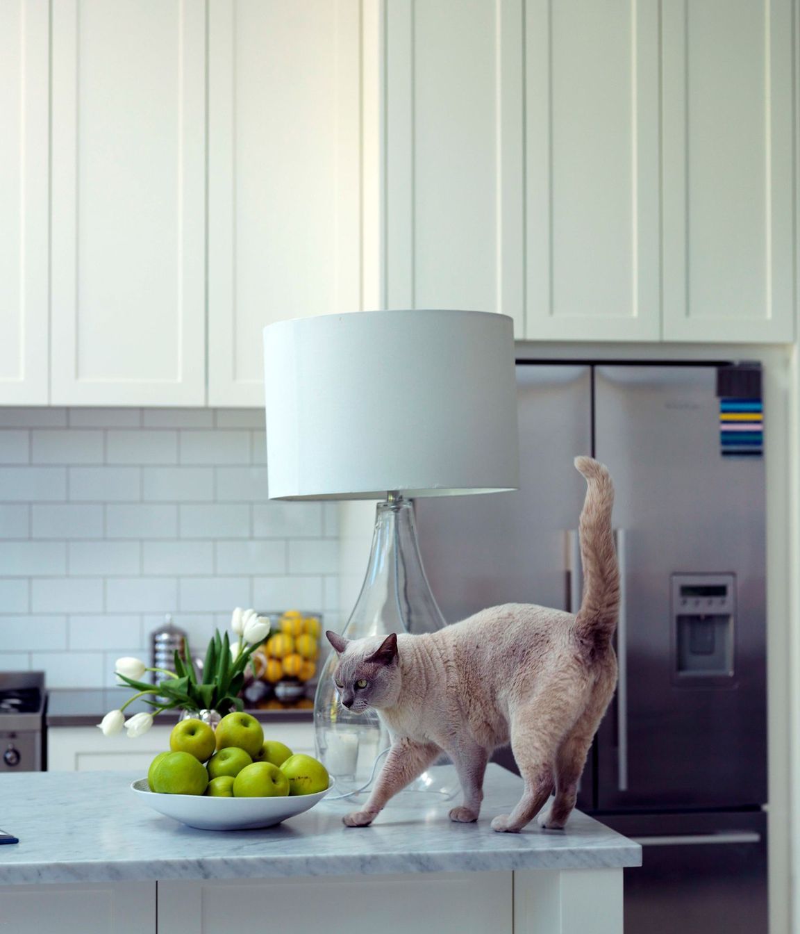 Kitchen Renovation