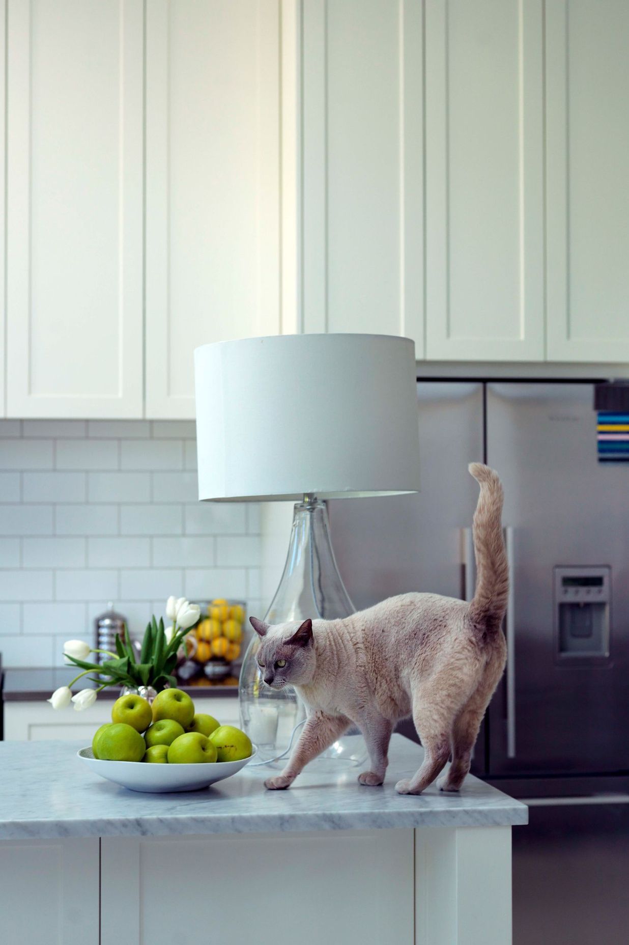 Kitchen Renovation