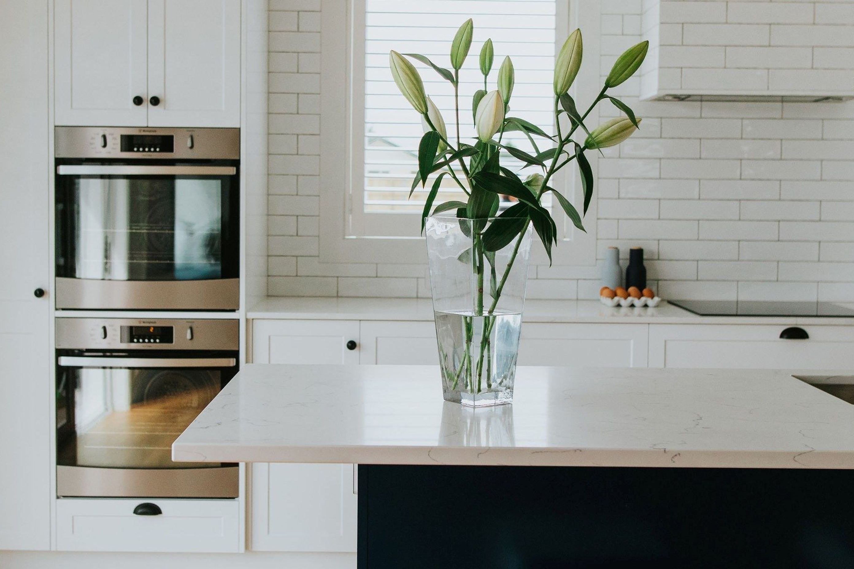 Sleek White Kitchen