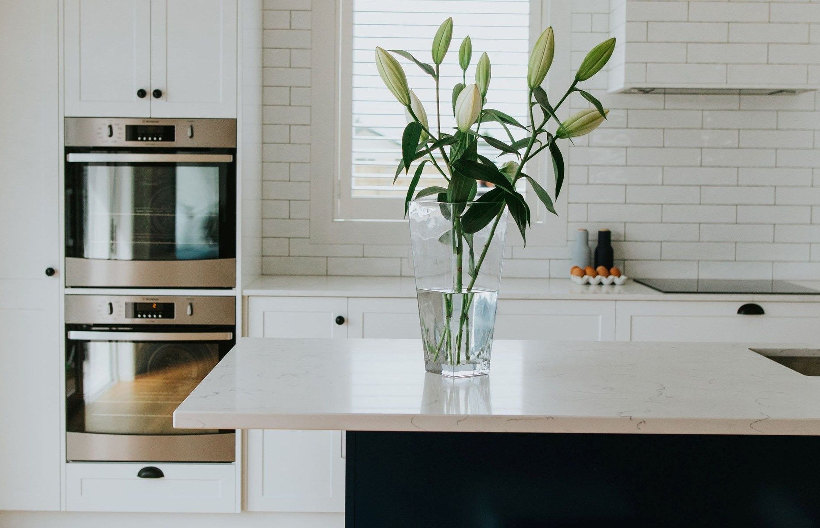 Sleek White Kitchen