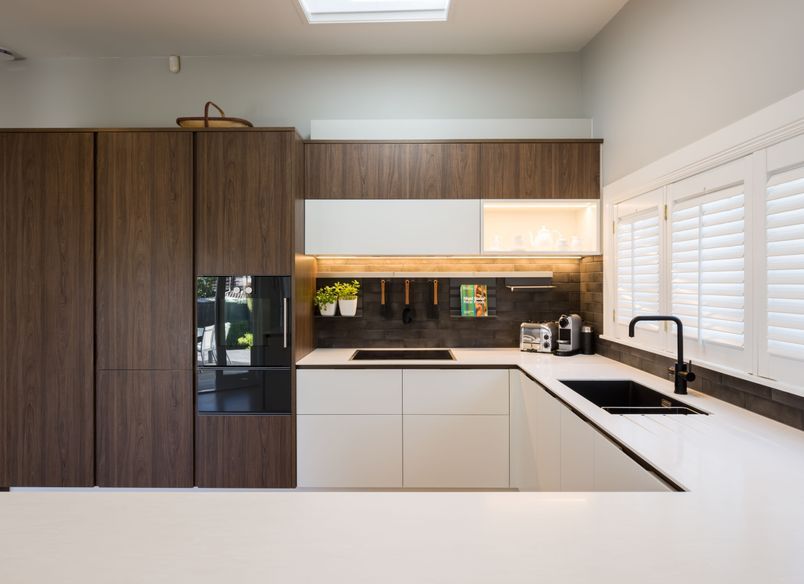 Tasman Elm Creates Richness