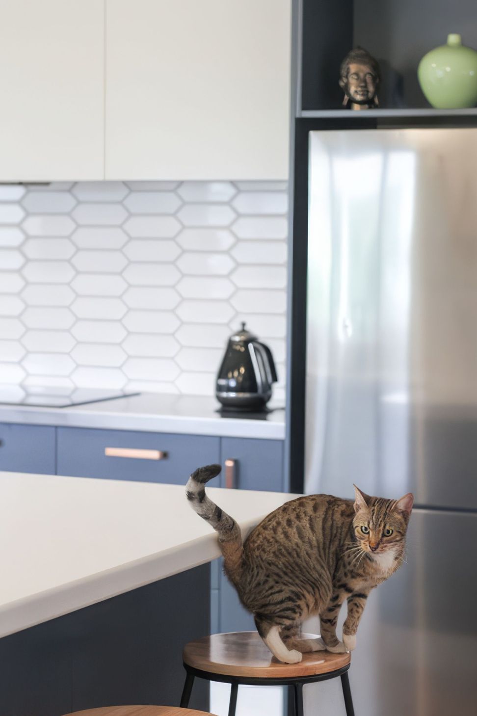 copper04-gigapixel.jpg