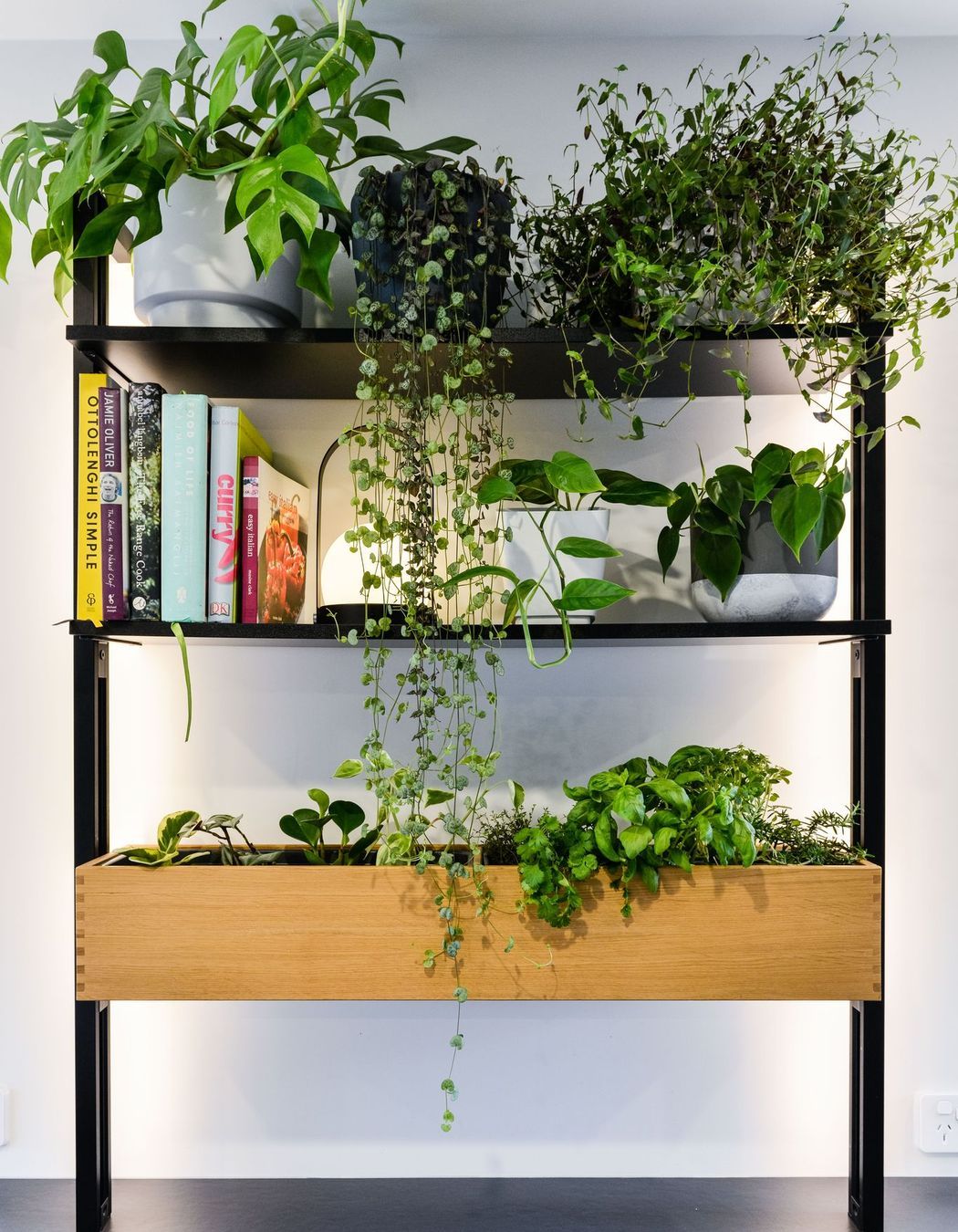 Inner City Renovation