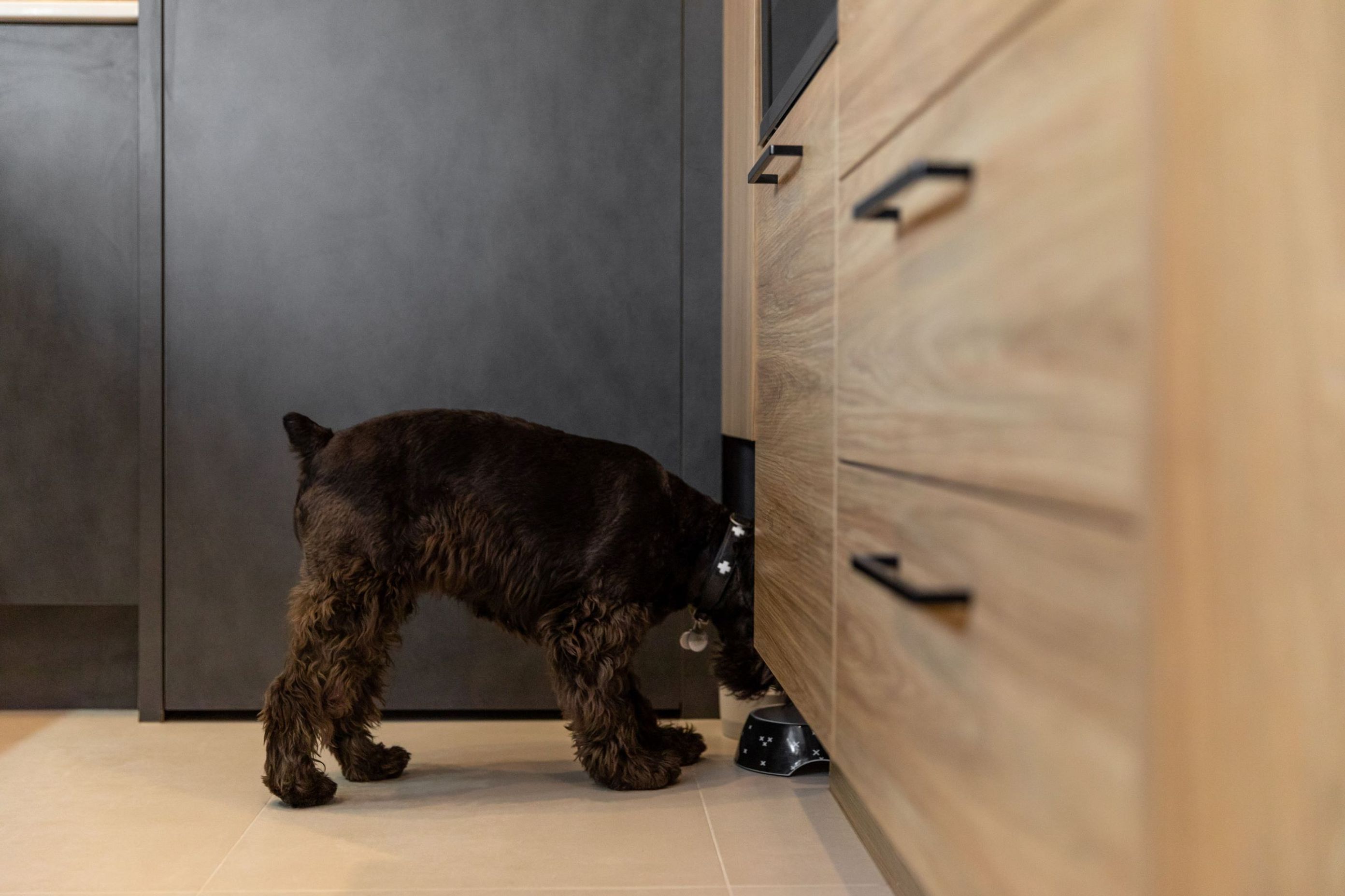 Prime Melamine in Honed Slate and Prime Melamine in Baroque, Designed by Toni Roberts of Kitchen Architecture