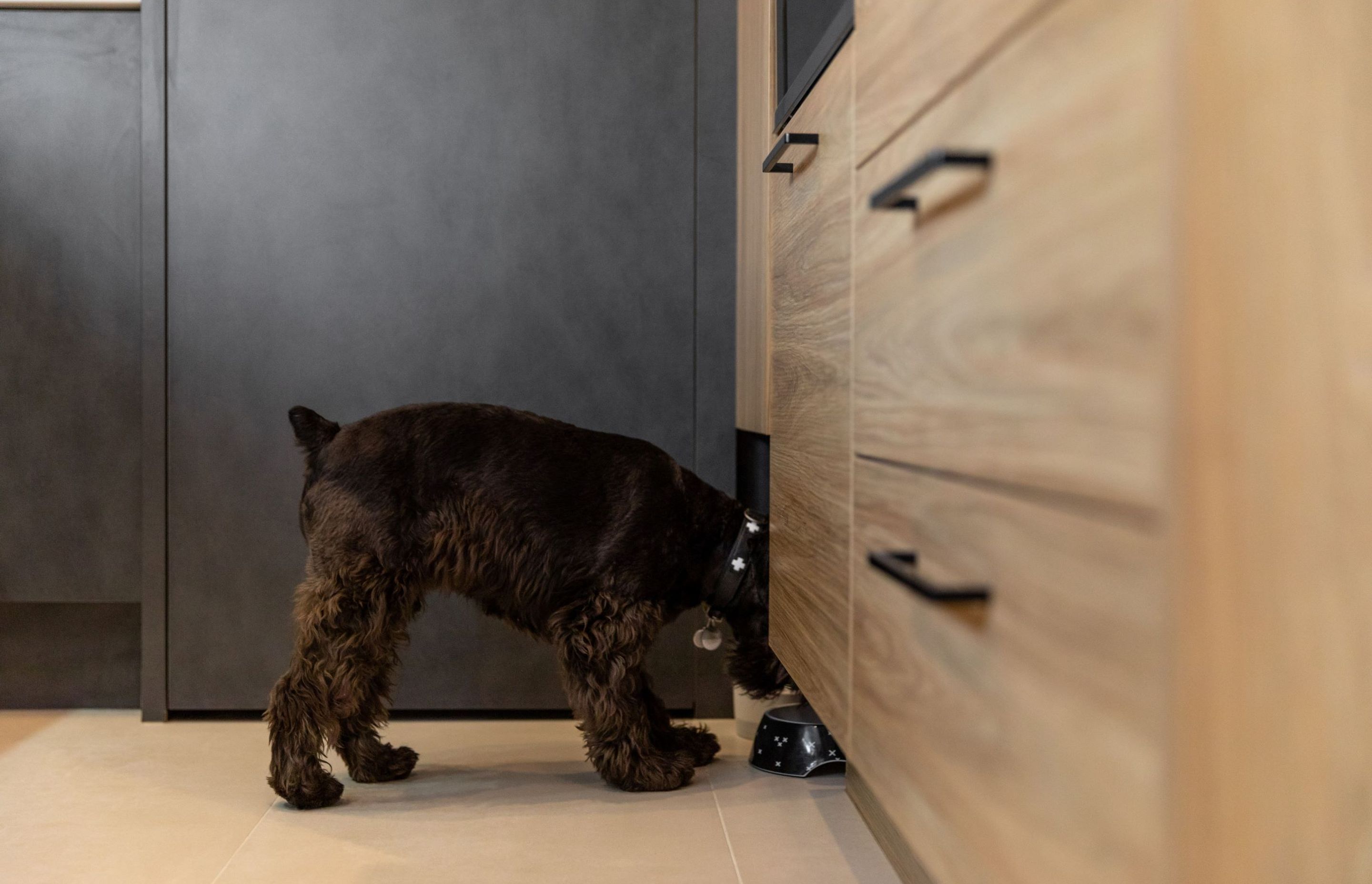 Prime Melamine in Honed Slate and Prime Melamine in Baroque, Designed by Toni Roberts of Kitchen Architecture