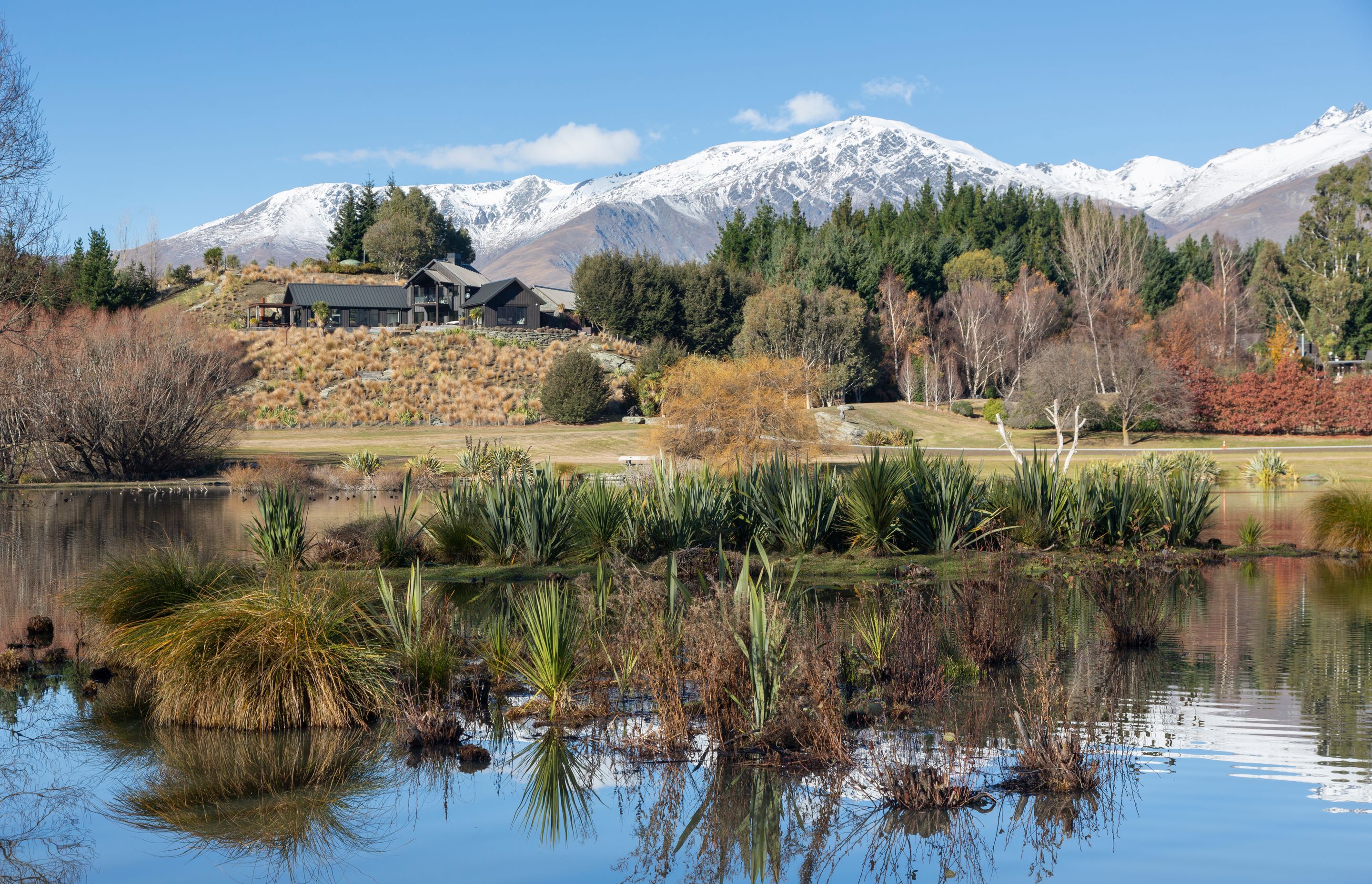 Mooney Rd | Queenstown