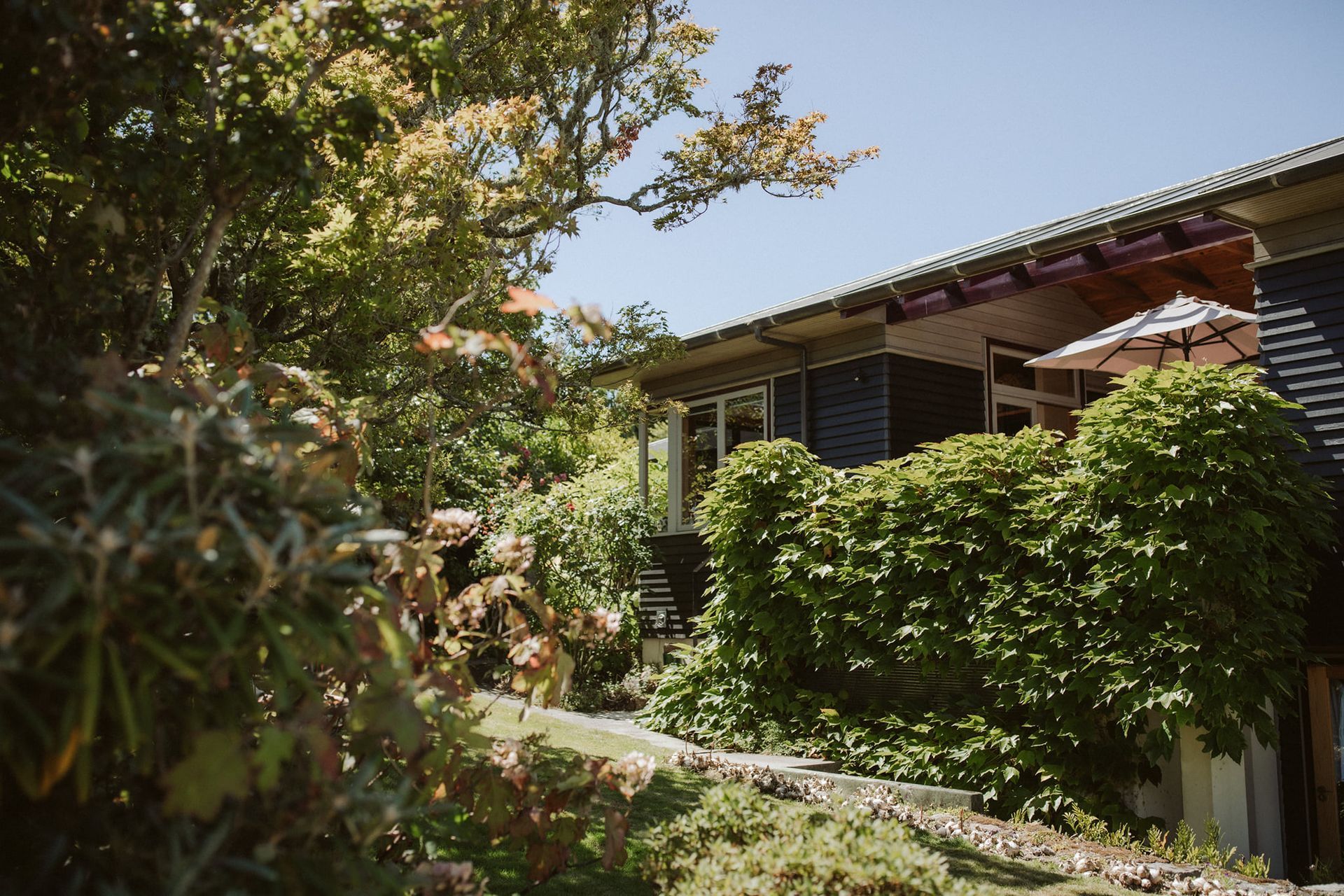 two houses and a garden