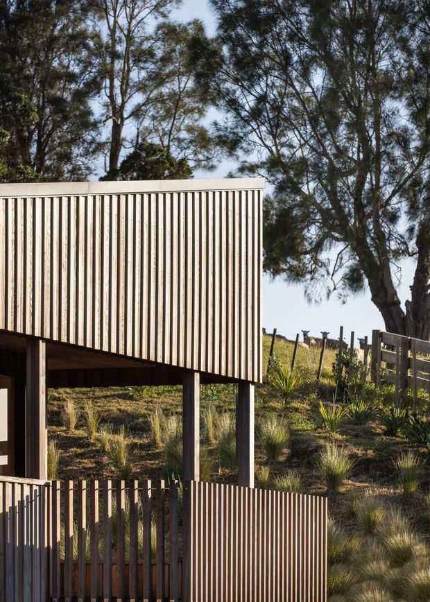 Exterior architectural detail of a raised, compact building set within a wooded and grassy landscape. The structure features a simple flat roof, strong vertical timber slat cladding and screening, dark timber supports, and an elevated lower level with fencing or balustrades. Native-looking grasses and mature trees surround the building, creating a natural bush setting.