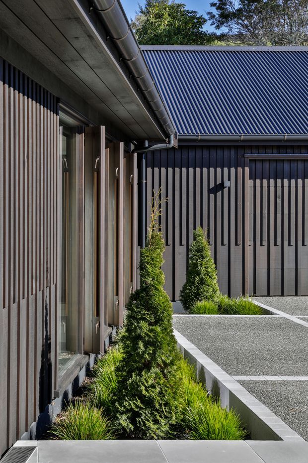 A close exterior architectural view of a contemporary dark-clad building arranged around a landscaped courtyard or entry path. Vertical ribbed wall cladding, large glazed openings with timber-toned vertical shutters, exposed concrete soffits, metal gutters, and a corrugated metal roof create a strong linear composition. Gravel-paved terraces with concrete edging sit beside structured planting of clipped conifers and ornamental grasses.